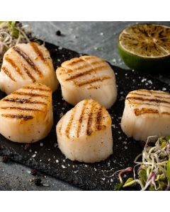 Sealuxe Sea Scallops