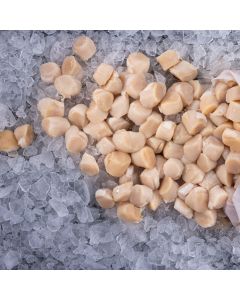 Top of the Trip Sea Scallops